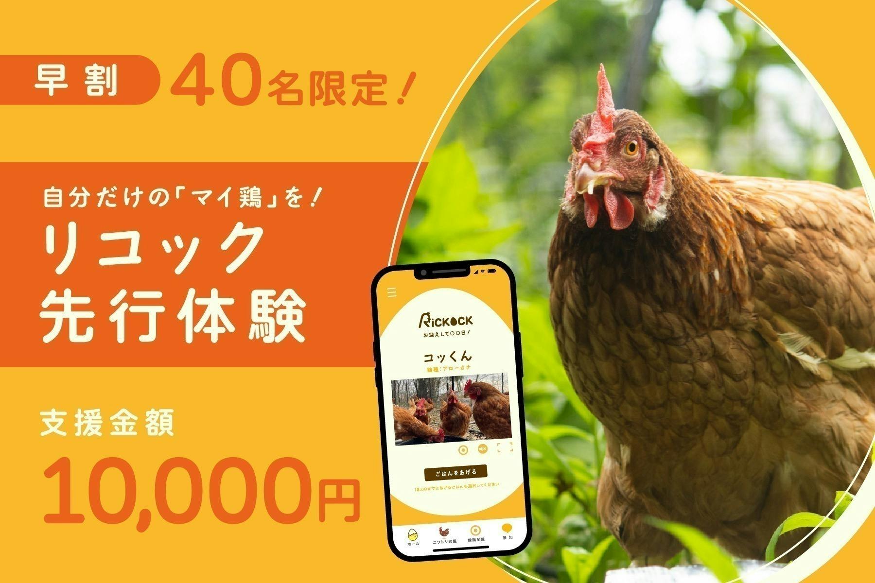 リターン画像